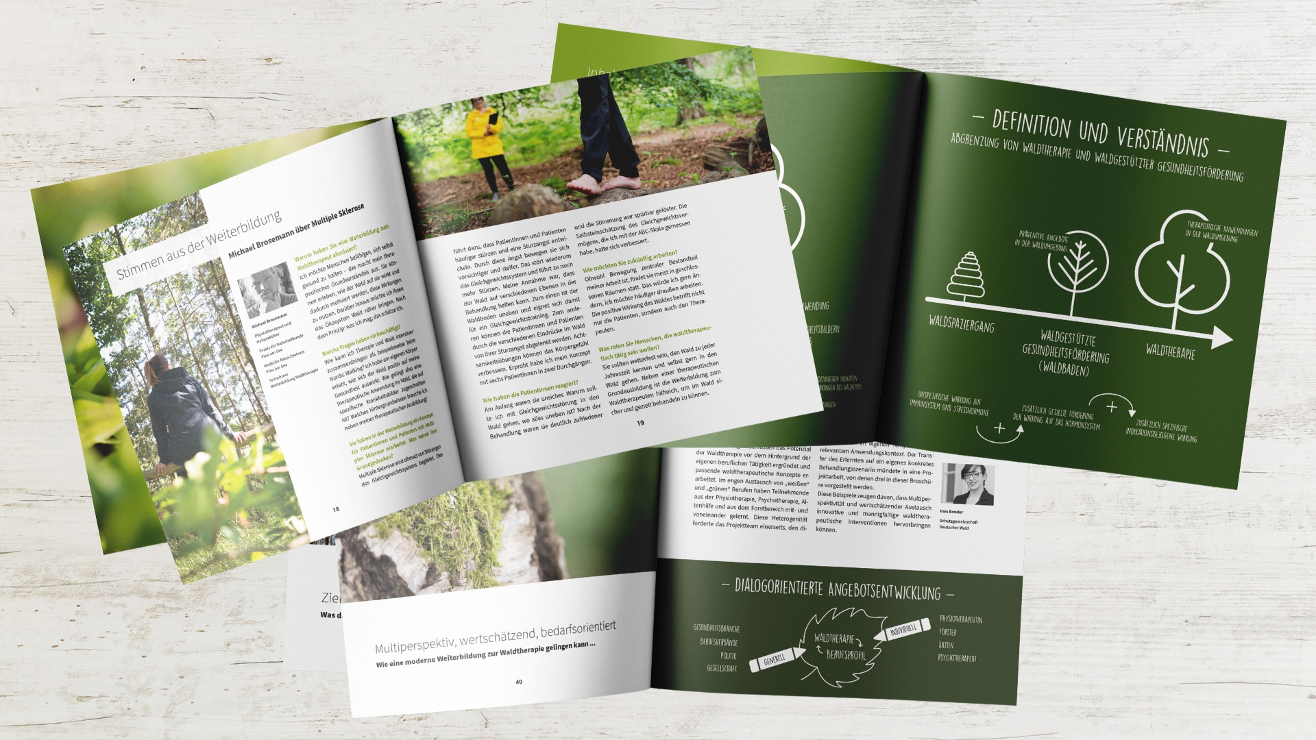 Wissenschaftskommunikation-Waldtherapie